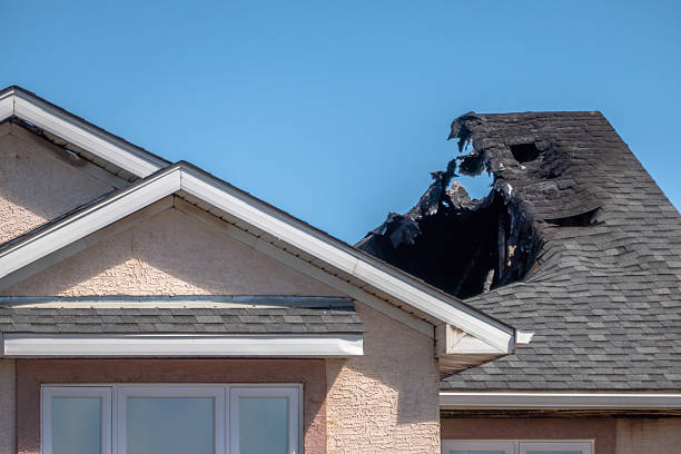 Top rated local Firefighting Water Removal specialists in Big Lake, WA